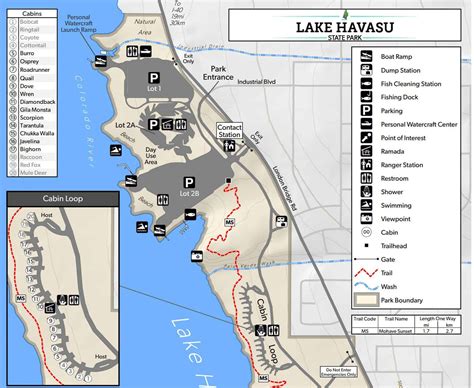 Lake Havasu State Park Campground Map