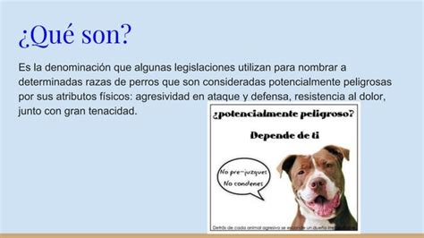 Perros Potencialmente Peligrosos PPT