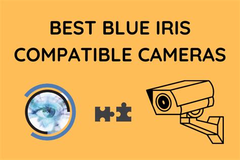 Best Blue Iris Compatible Cameras We Did The Research 2023 BlinqBlinq