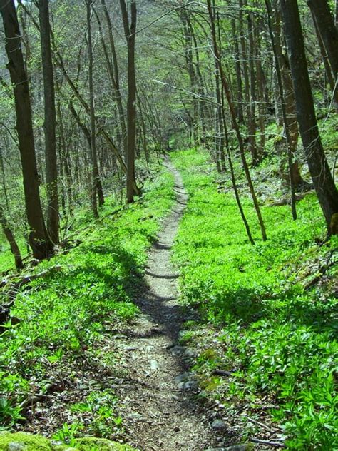 Mountainbike Blautalrunde Mit Iller Tour