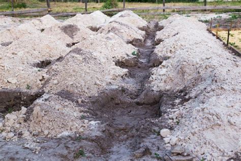 El Proceso De Preparar La Tierra Para Plantar Las Uvas Agujeros De