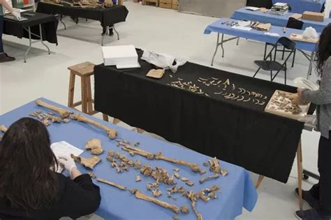 Noticias sobre Equipo Argentino de Antropología Forense LA GACETA Tucumán