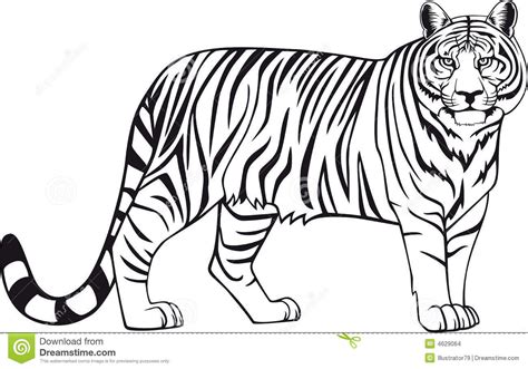 Imagenes De Tigre Para Colorear E Imprimir P Ginas Imprimibles