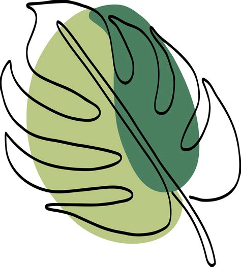 Simplicity Monstera Leaf Freehand Drawing Png