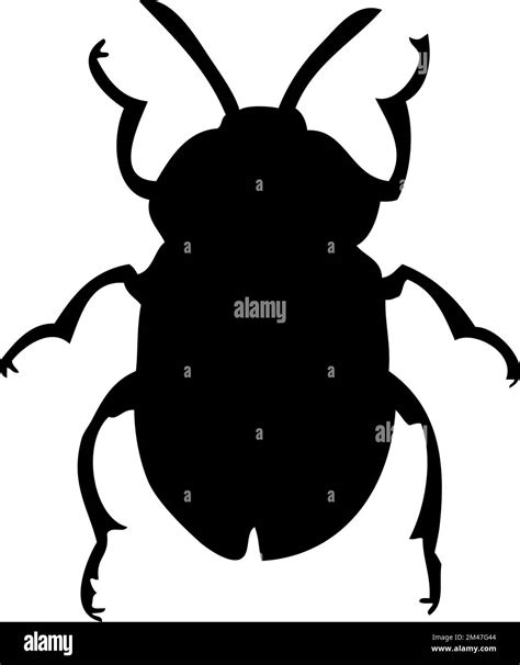 Silhouette Of Beetle Beetle Close Up Detailed Vector Beetle Icon On