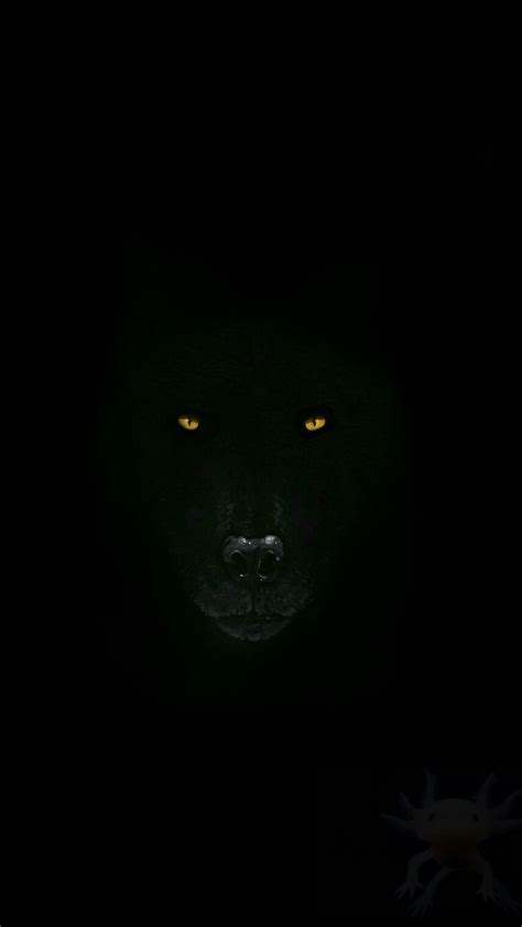 Wolf Amoled Wallpapers Wallpaper Cave