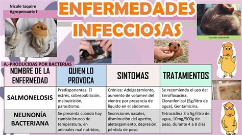 Enfermedades Infecciosas | Nicole Taquire | uDocz