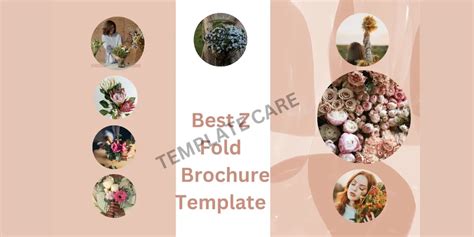 Best Z Fold Brochure Template Free Download-TemplateCare