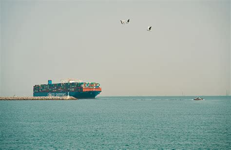 Dammam container throughput record