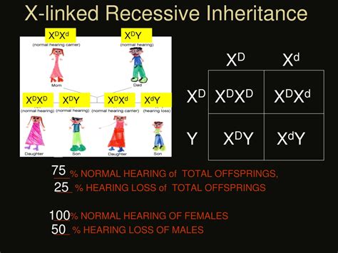 Ppt Understanding Gregor Mendel S Genetics Terms And Laws Powerpoint