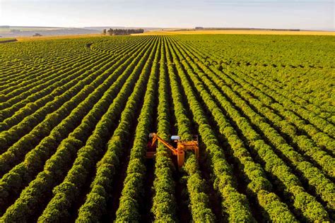 Agro T O Subsidiado Pelo Governo Como Dizem