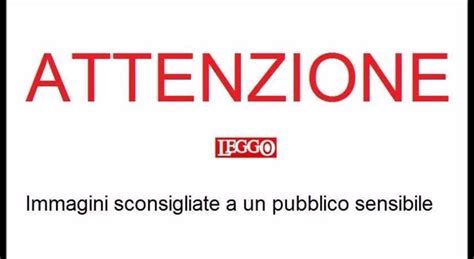 Interrogatorio Choc Il Fermato Torturato E Minacciato Con Un Serpente