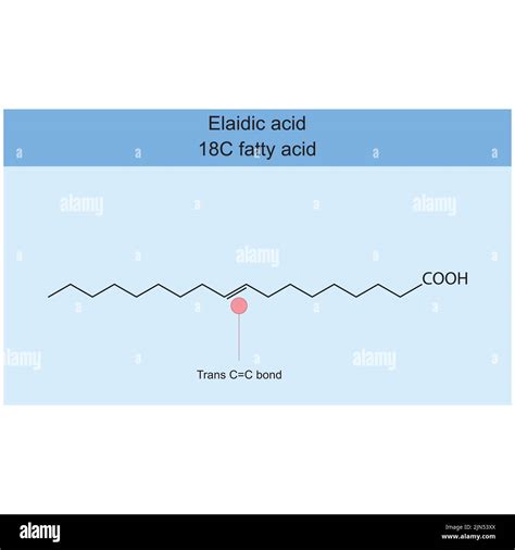 Elaidic Acid 18 Carbon Fatty Acid Chemical Structure On Blue