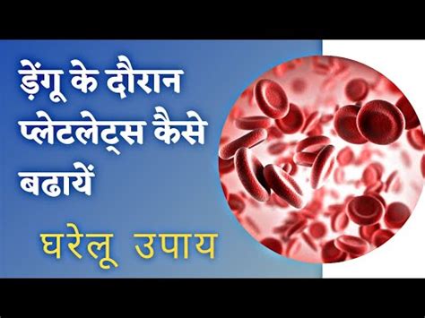 Platelets Badhane Ke Upay Dengue Me Platelets Kaise Badhaye