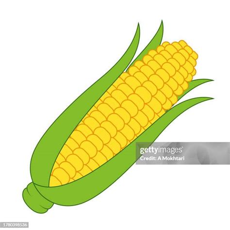 87 Corn Field Cartoon Stock Photos, High-Res Pictures, and Images ...