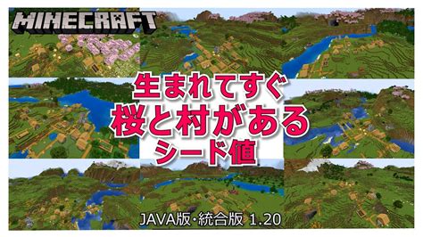 マイクラ 1 20 生まれてすぐ 桜と村があるシード値 統合版・java版 1 20対応 初心者～上級者向け Minecraft Youtube