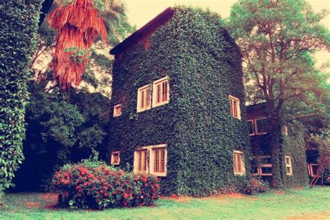 31 Examples Of Ivy Covered Houses