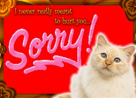 An Apology Card For You Free Sorry Ecards Greeting Cards 123 Greetings