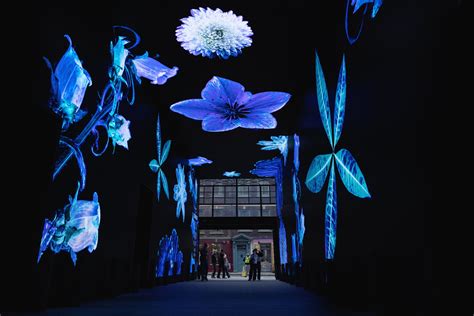 Ultraviolet — Maggie West