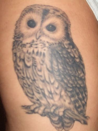 Tribal Owl TattooAnimal TattooAnimal Tattoo