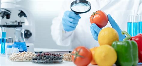 Come Diventare Consulente Haccp Laurea Online Sport E Nutrizione