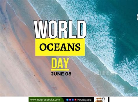 World Oceans Day 2023 History Theme Significance