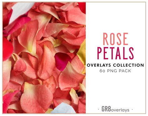 Rose Petals Overlays Photoshop Overlays Photoshop Overlay Etsy Australia