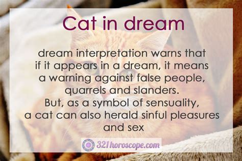 Dream Meaning Of A Cat DREAM SFD