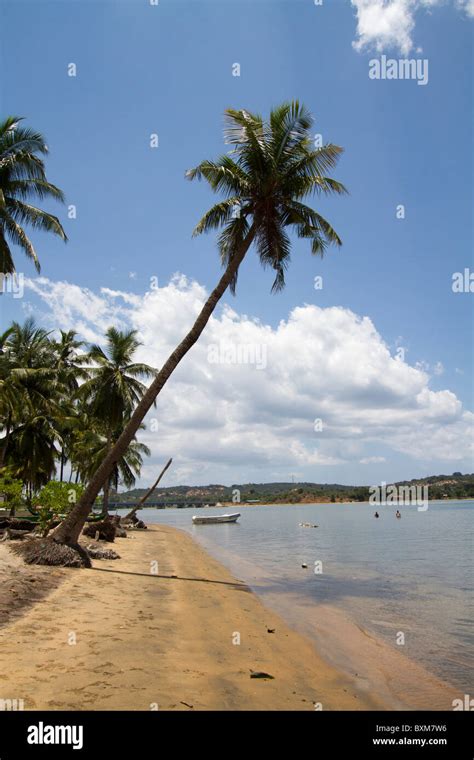 Sri Lanka East Coast Beach At Kinniya Near Trincomalee With Leaning