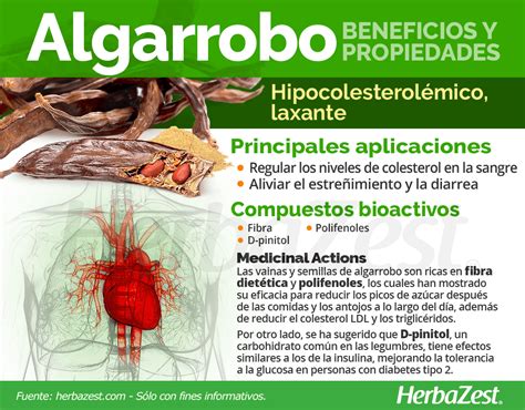 Algarrobo Herbazest