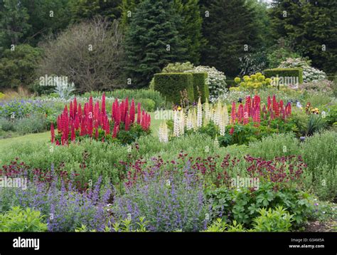 Waterperry Gardens In Early June Oxfordshire England Stock Photo Alamy