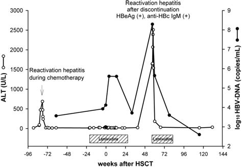 Late viral recurrence with icteric hepatitis manifested 31 weeks after ...