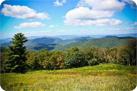 You know how we're an art family...: camping in Shenandoah