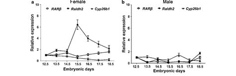 Ra Synthesis Is Required For Meiosis Initiation In Chicken Ovary The