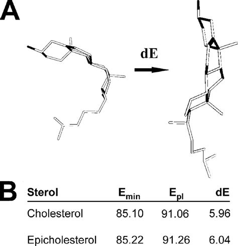 Computed Energies For An Inhibitory Sterol Cholesterol And Its