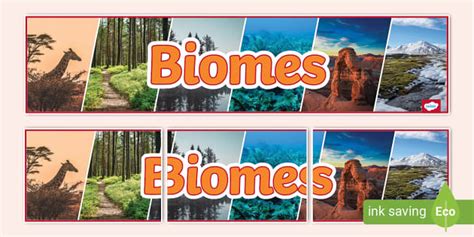 Biomes Photo Display Banner Professor Feito Twinkl