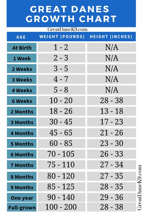 Great Dane Growth Chart Track Your Puppys Growth