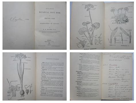 Holmes Botanical Note Book Or Practical Guide To A Knowledge Of Botany