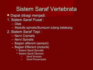 Sistem Saraf Ppt