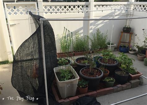 DIY: Freestanding Shade Canopy for Garden | THE JOY BLOG