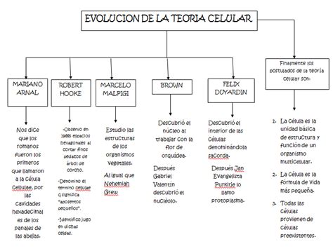 Teoria Celular Mapa Mental Mapa Conceptual Historia De La Teoria Images