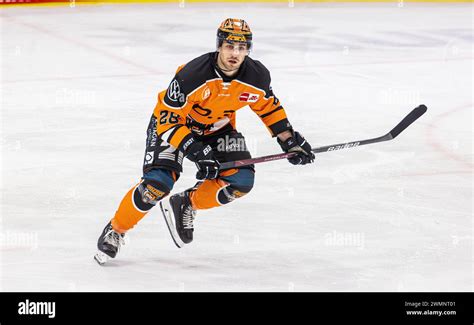 Schwenninger Wild Wings Grizzlys Wolfsburg Helios Arena Penny DEL