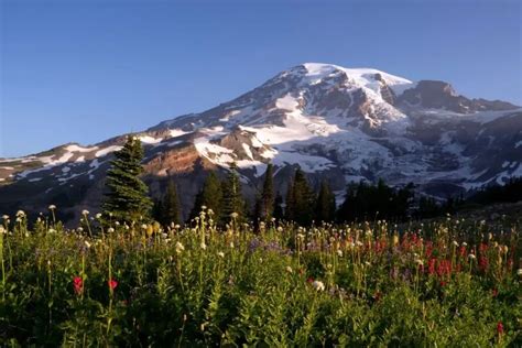 14 Favorite Hiking Trails In Washington State We Try Going On Every Year!