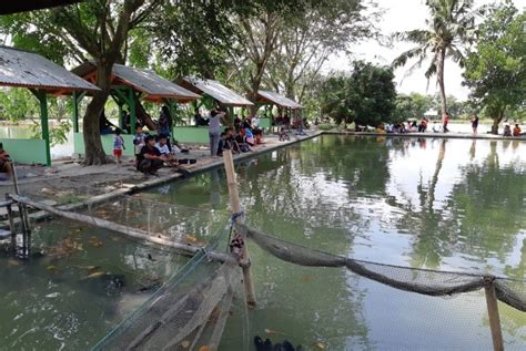 Rekomendasi Kolam Pancing Di Sidoarjo