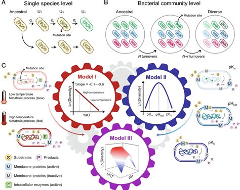 Integrating PH Into The Metabolic Theory Of Ecology To Predict