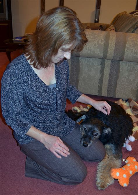berea animal rescue 3