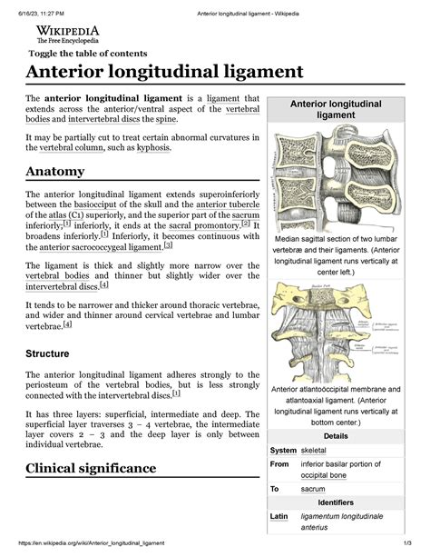 Anterior longitudinal ligament - International Business - Studocu