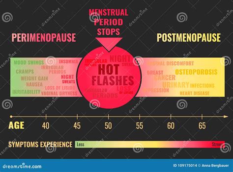 Stages Of Menopause Infographic Vector Illustration