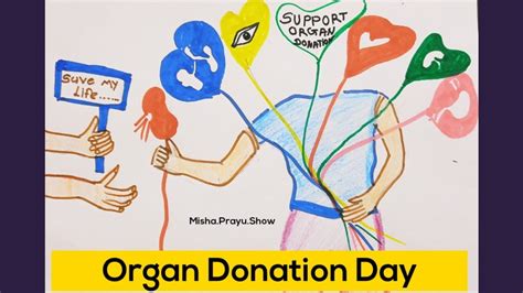 Best Organ Donation Day 2021 Drawing Organ Donation Awareness Poster