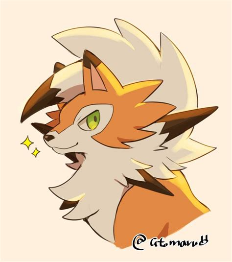 Twilight the Lycanroc Wiki Pokémon Amino